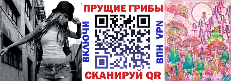 блэк спрут ссылка  Черкесск  Псилоцибиновые грибы Magic Shrooms  купить  цена 